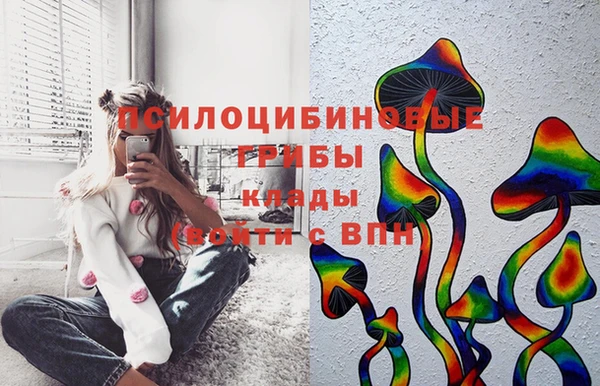 дживик Заводоуковск